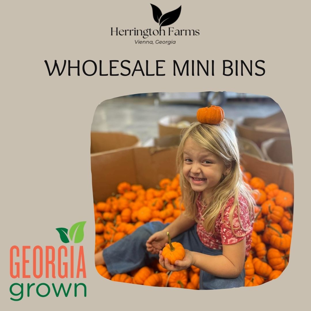 Wholesale: Mini Orange Bins
