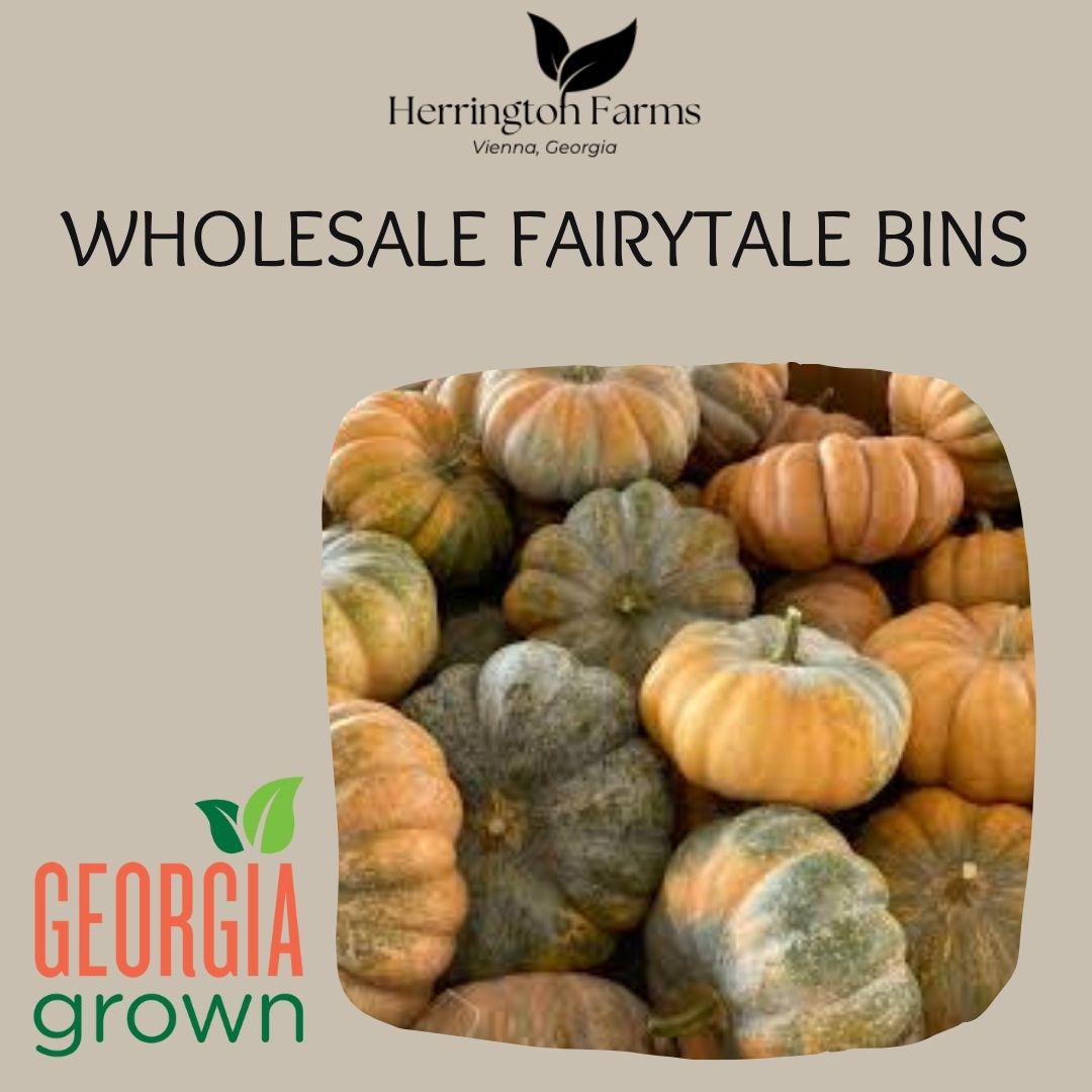 Wholesale: Fairytale Bins