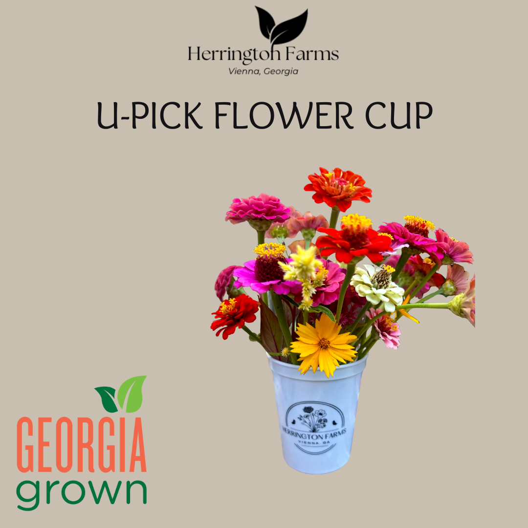 U-PICK Flower Cup
