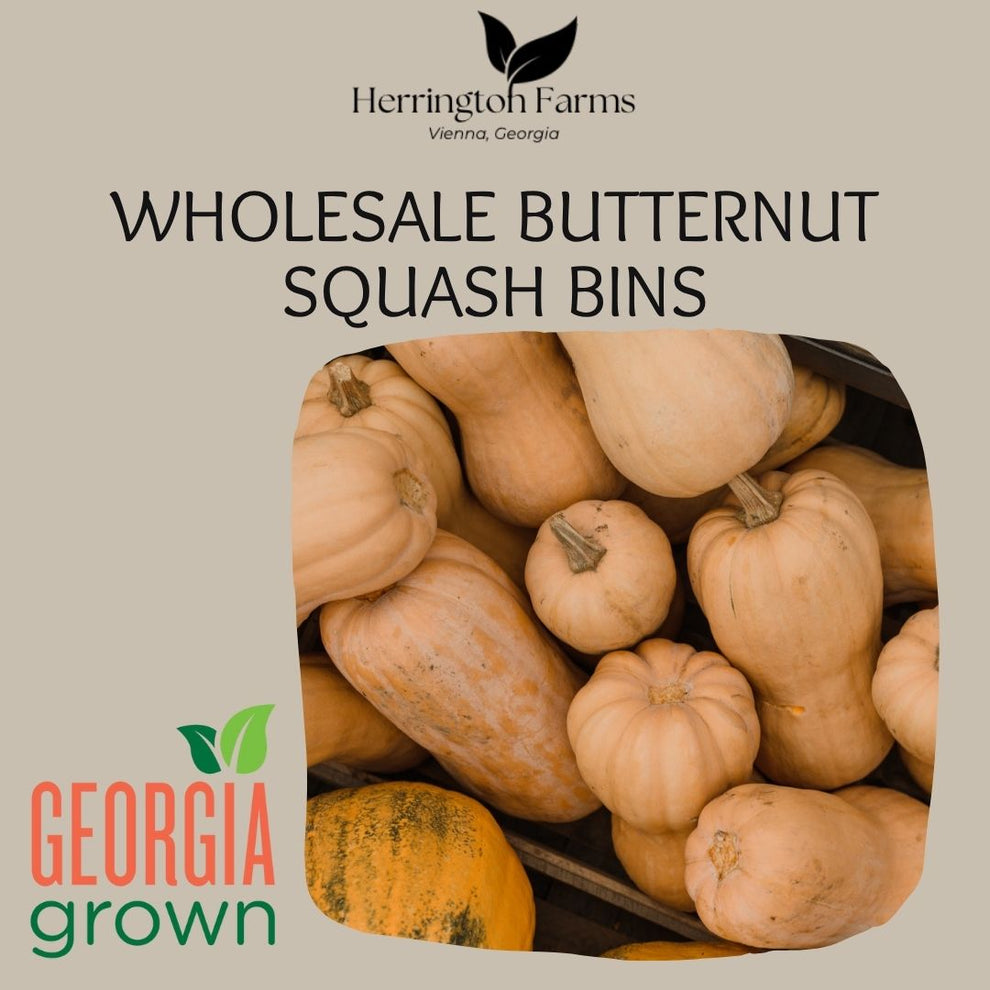 Wholesale: Butternut Squash – Herrington Farms