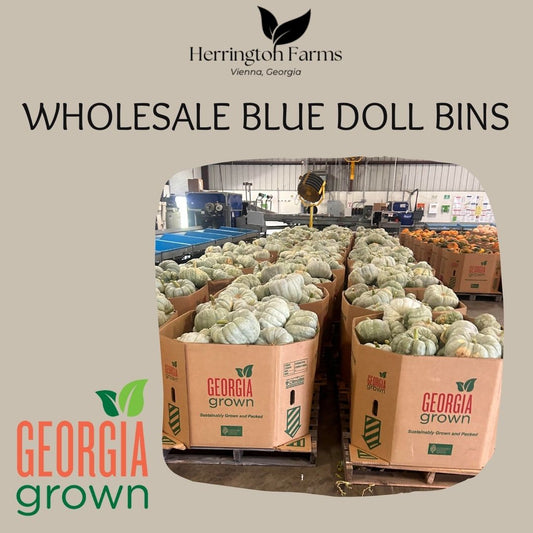 Wholesale: Blue Dolls
