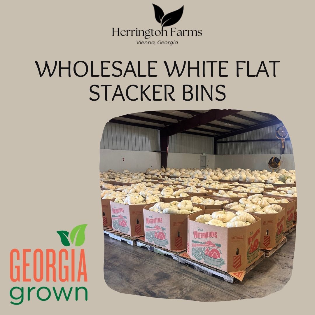 Wholesale: White Flat Stacker Bins