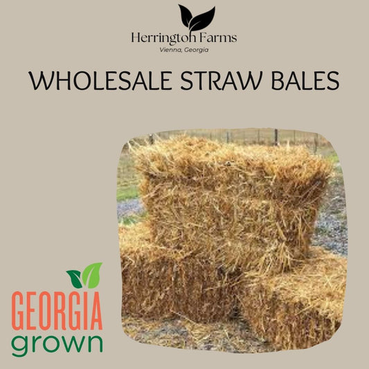 Wholesale: Straw bales