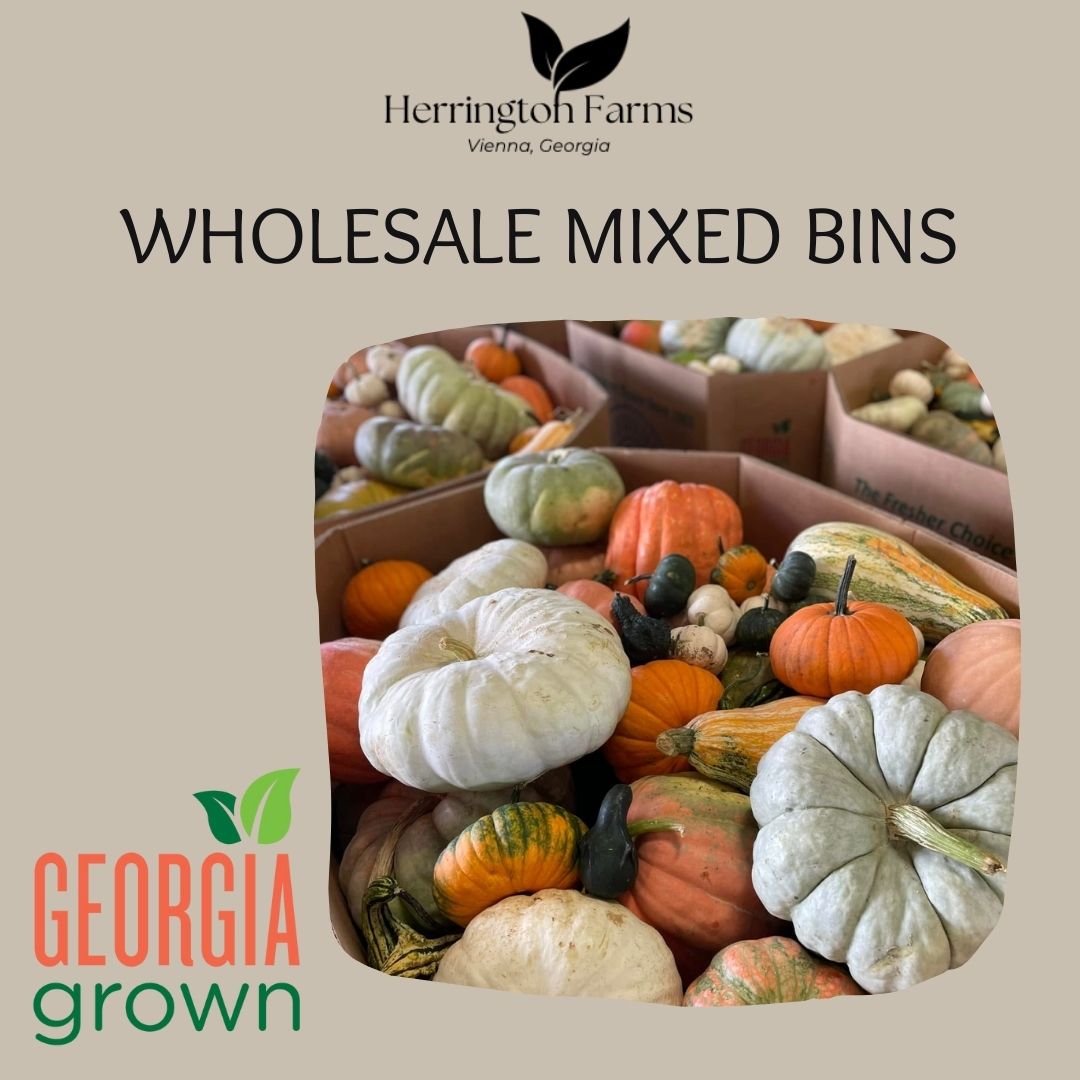 Wholesale: Mixed Bins