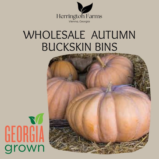 Wholesale: Autumn Buckskin Bins
