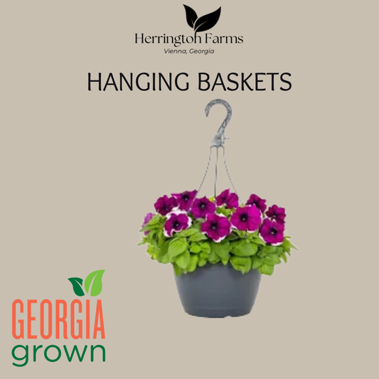 Hanging Baskets