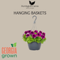 Hanging Baskets