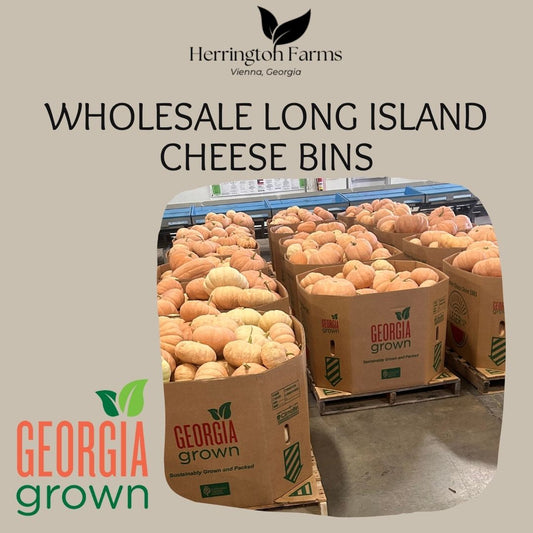 Wholesale: Long Island Cheese Bins