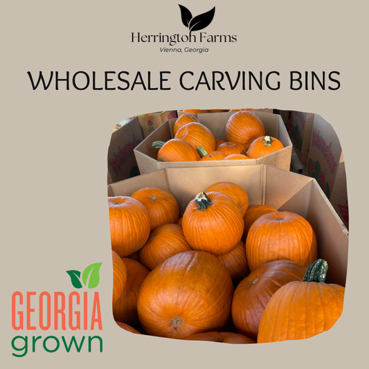 Wholesale: Orange Carving Bin