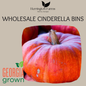 Wholesale: Cinderella Bins