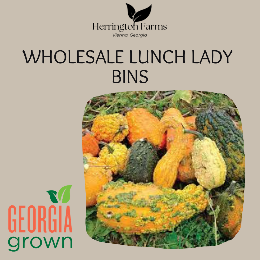 Wholesale: Lunch Lady Bins