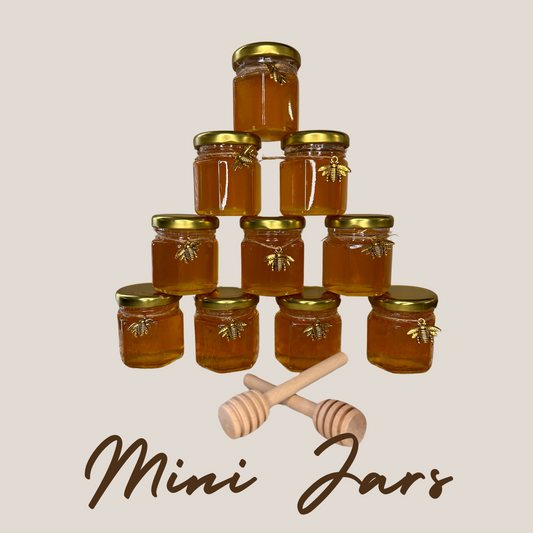 Mini Honey Jars